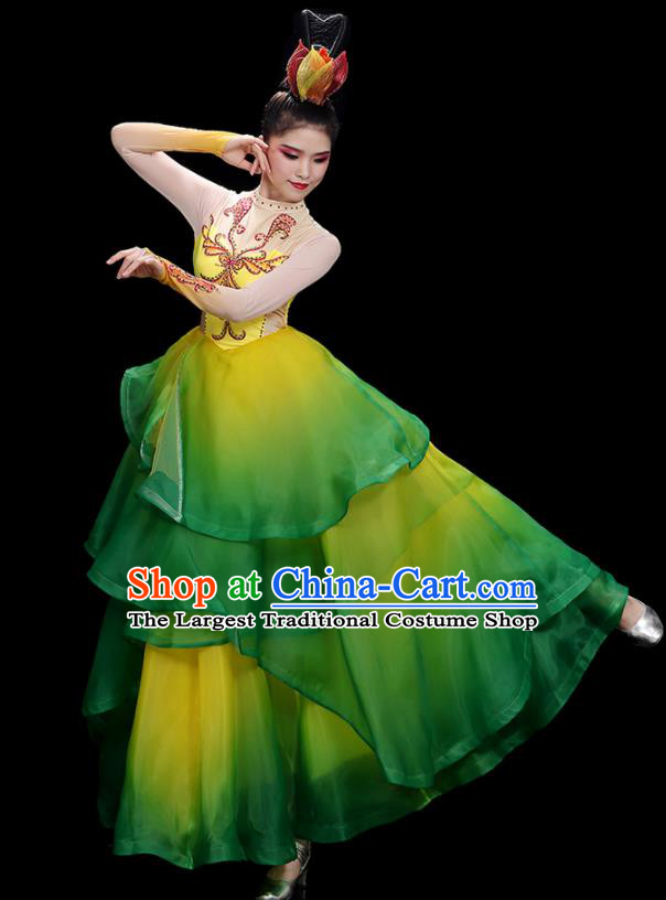 China Flower Dance Costume Stage Performance Garments Modern Dance Clothing Opening Dance Green Dress
