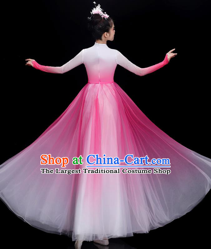 China Stage Performance Garments Chorus Group Clothing Modern Dance Pink Dress Opening Dance Costume