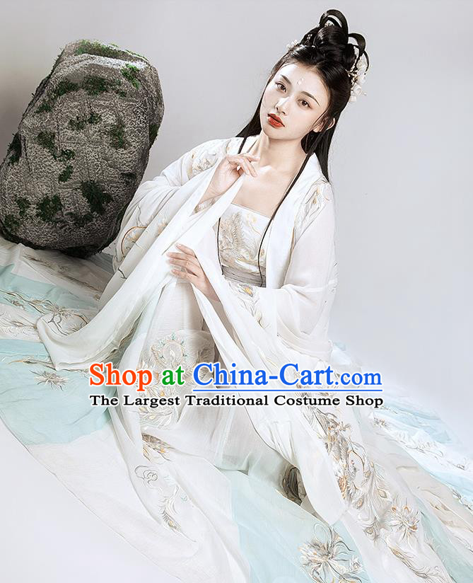 Chinese Ancient Fairy Clothing Traditional Embroidered Hanfu Dress Southern and Northern Dynasties Princess Garment Costumes
