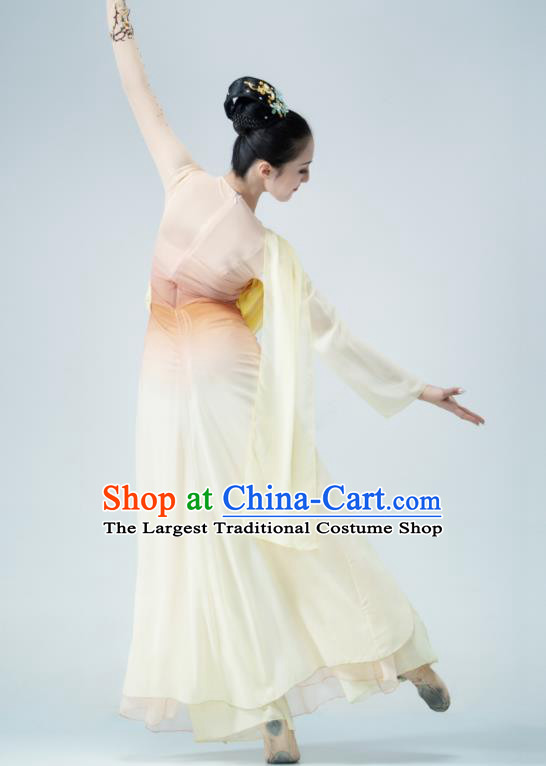 Chinese Dance Competition Clothing Classical Dance Costume Umbrella Dance Apricot Dress