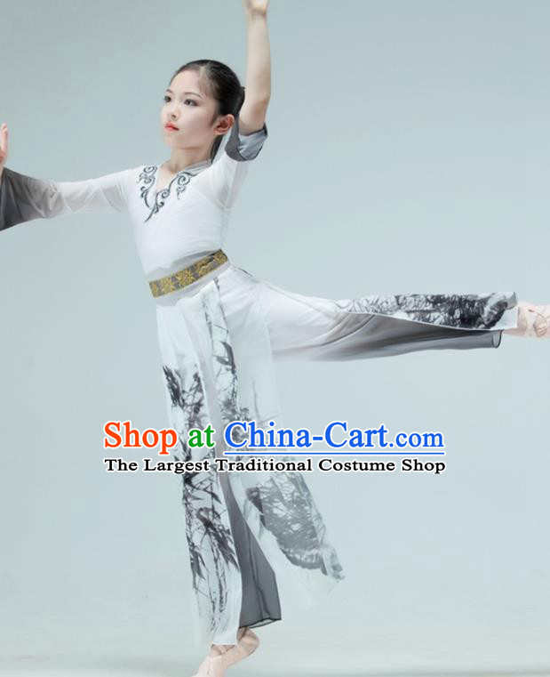 Chinese Classical Dance Garment Children Sword Dance Clothing Stage Performance Costume Mang Zhong Dance Ink Painting Outfit