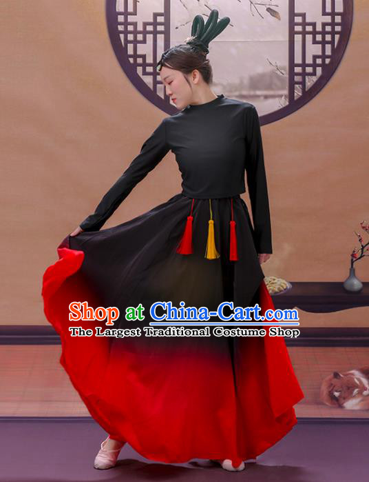 Chinese Classical Dance Clothing Mang Zhong Dance Dress Women Group Performance Garment Costume