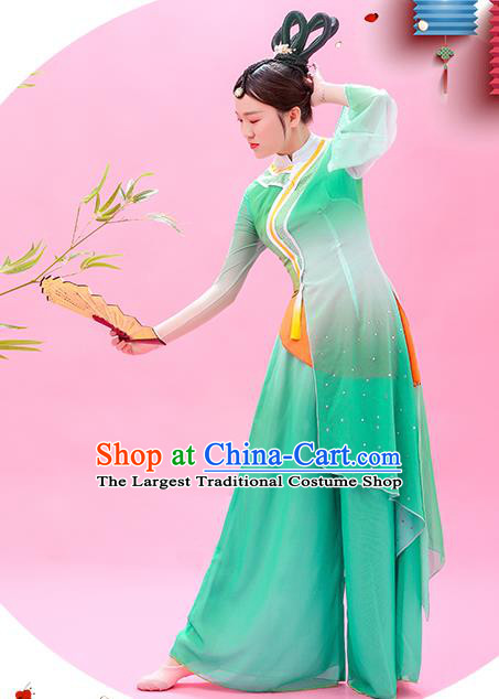 Chinese Classical Dance Green Outfit Women Dance Competition Garment Costume Fan Dance Clothing