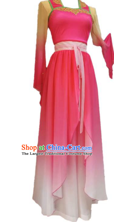 Chinese Beauty Dance Garment Costumes Classical Dance Clothing Women Stage Performance Pink Dress