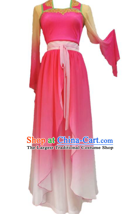 Chinese Beauty Dance Garment Costumes Classical Dance Clothing Women Stage Performance Pink Dress