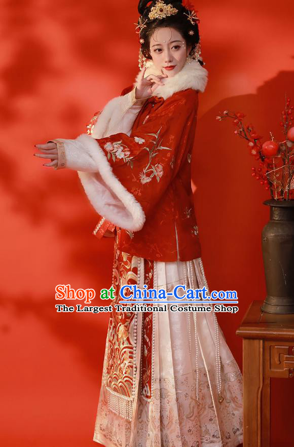 Chinese Traditional Winter Garment Clothing Ancient Rich Lady Dresses Ming Dynasty Costumes