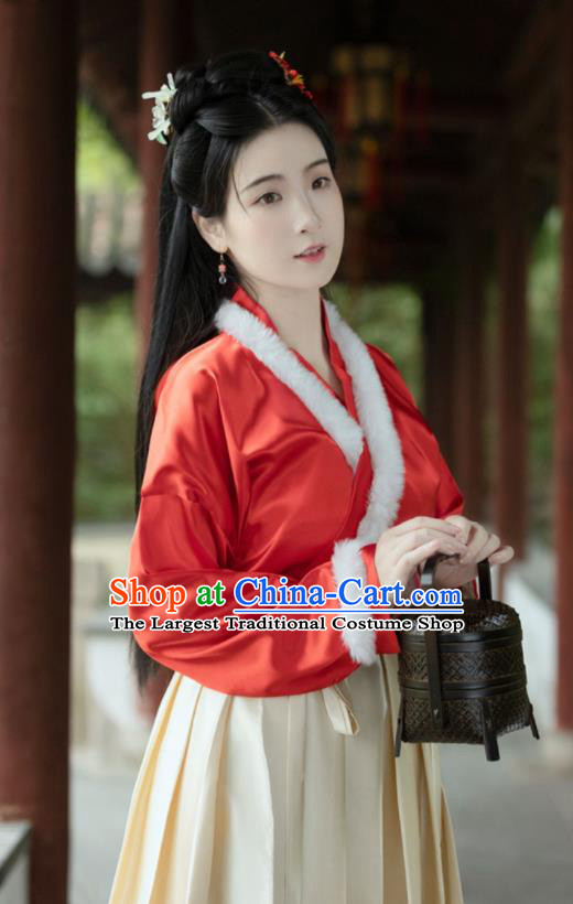 Chinese Song Dynasty Young Lady Costumes Ancient Noble Woman Clothing Traditional Winter Red Hanfu Dresses