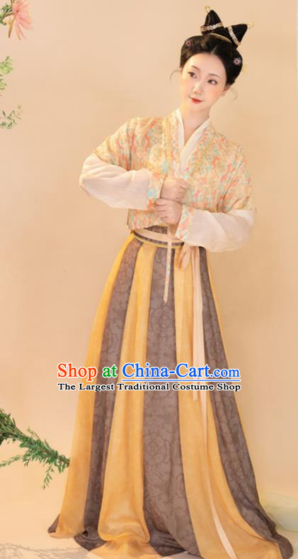 Chinese Tang Dynasty Palace Beauty Garment Costumes Ancient Fairy Clothing Traditional Hanfu Dresses