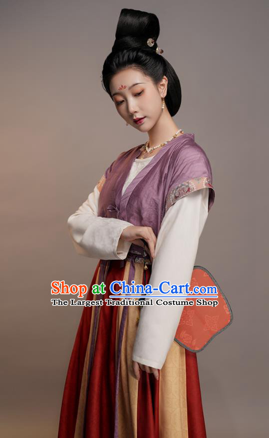 Chinese Traditional Hanfu Dress Ancient Palace Beauty Clothing Tang Dynasty Princess Garment Costumes