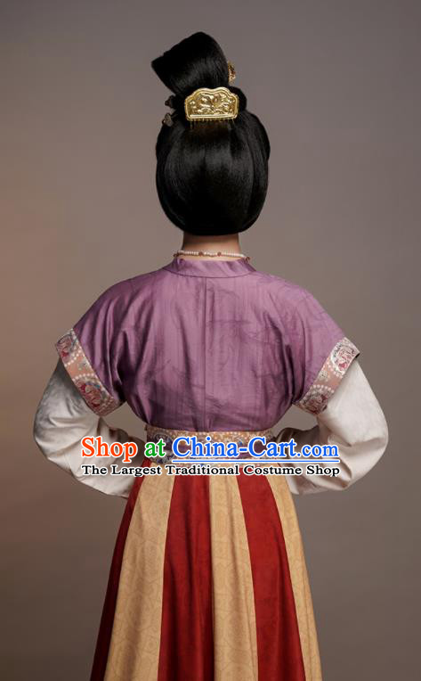 Chinese Traditional Hanfu Dress Ancient Palace Beauty Clothing Tang Dynasty Princess Garment Costumes