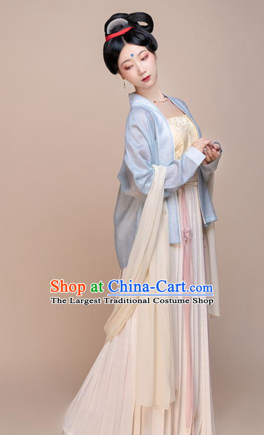 Chinese Ancient Palace Beauty Clothing Song Dynasty Noble Woman Garment Costumes Traditional Hanfu Dress