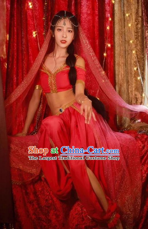 Top Stage Performance Costume Arab Middle East Princess Clothing Belly Dance Pink Outfit