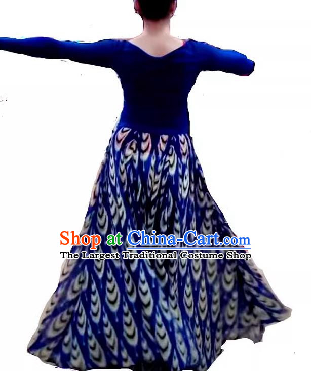 China Xinjiang Dance Adelaide Golden Thread Sha Stage Performance Practice Skirt