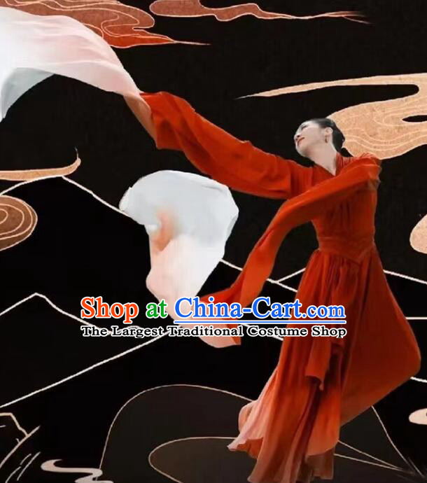 Chinese Classical Dance Clothing  Spring Festival Gala Red Dress Water Sleeve Dance Costume