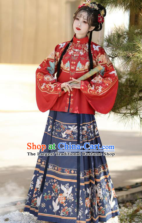 Chinese Ming Dynasty Royal Princess Costumes Traditional Hanfu Mandarin Jacket and Ma Mian Skirt Ancient Noble Lady Clothing