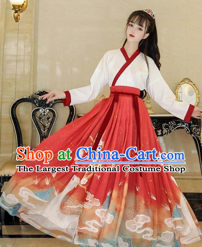 Chinese Ancient Young Swordswoman Clothing Jin Dynasty Princess Garment Costumes Hanfu Red Dresses