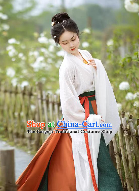 China Hanfu Dresses Wei Jin Northern and Southern Dynasties Women Costumes Chinese Ancient Princess Clothing