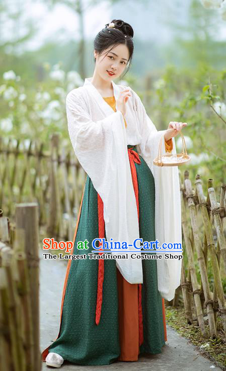 China Hanfu Dresses Wei Jin Northern and Southern Dynasties Women Costumes Chinese Ancient Princess Clothing