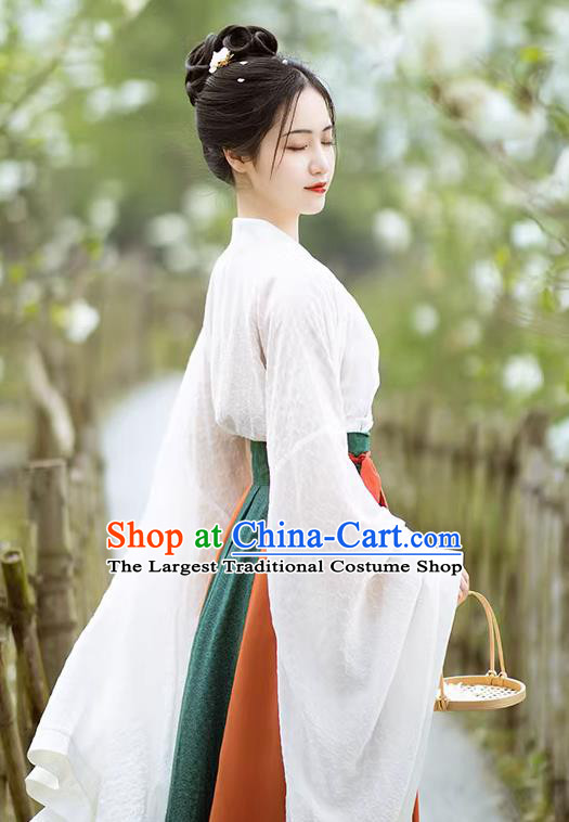 China Hanfu Dresses Wei Jin Northern and Southern Dynasties Women Costumes Chinese Ancient Princess Clothing