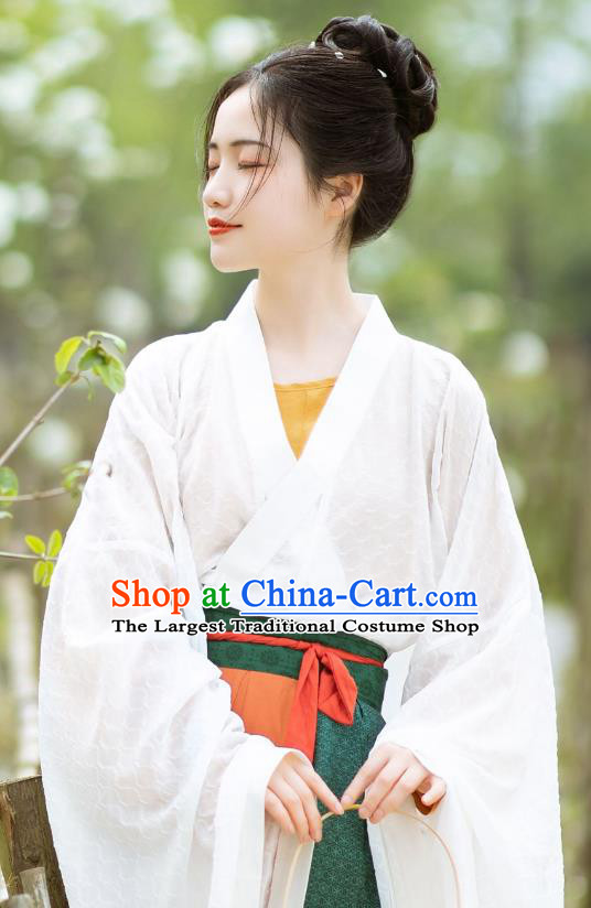 China Hanfu Dresses Wei Jin Northern and Southern Dynasties Women Costumes Chinese Ancient Princess Clothing