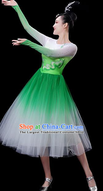 China Modern Dance Costume Chorus Clothing Opening Dance Fashion Women Group Stage Show Green Dress