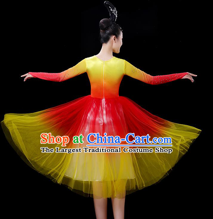 China Women Group Chorus Clothing Opening Dance Fashion Stage Show Veil Dress Modern Dance Costume