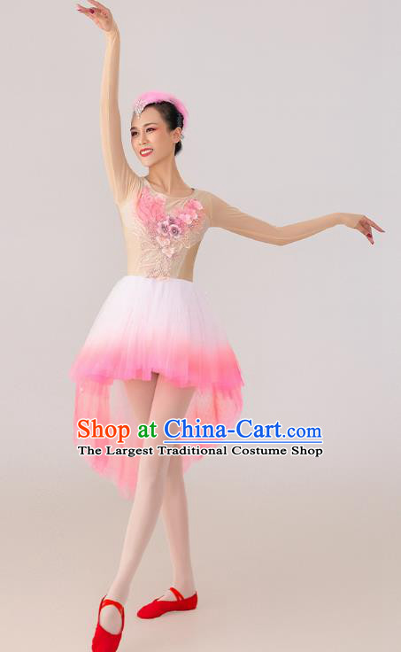 China 2021 Spring Festival Gala Crested Ibises Costume Modern Dance Clothing Dancing Competition Pink Dress