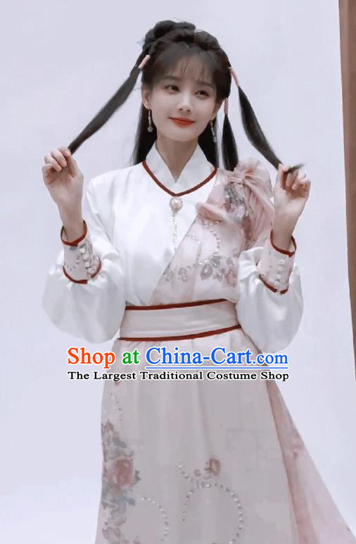 China Ancient Swordswoman Pink Dresses  TV series The Legend of the Condor Heroes Costumes Song Dynasty Hanfu Garments
