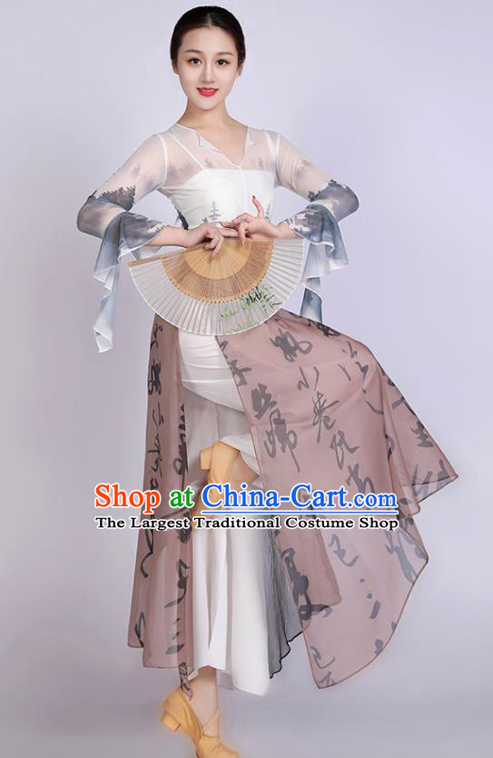 Women Solo Dance Clothing Chinese Classical Dance Costume Ink Painting Dance Training Garment