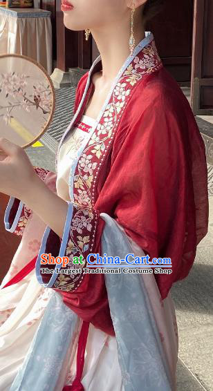 Chinese Ancient Female Embroidered Clothing Women Hanfu Dress Song Dynasty Princess Costume Set