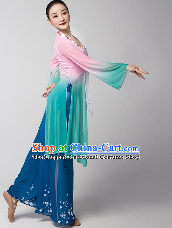 Classical Dance Chinese Ancient Style Gauze Body Elegant Shawl Performance Dance Clothing Practice Clothing Dream Catcher Adult Chiffon