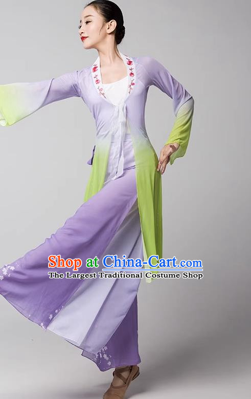 Practice Clothes Modern Dance Dream Catcher Chinese Ancient Style Gauze Clothes Shape Elegant Shawl Performance Dance Clothes