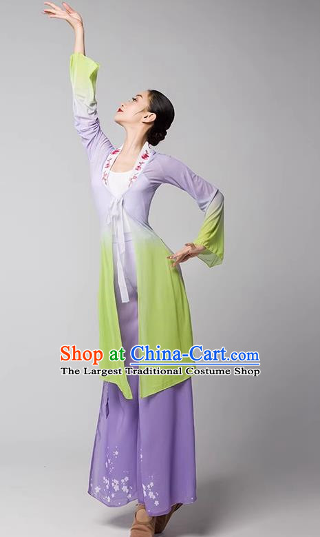 Practice Clothes Modern Dance Dream Catcher Chinese Ancient Style Gauze Clothes Shape Elegant Shawl Performance Dance Clothes