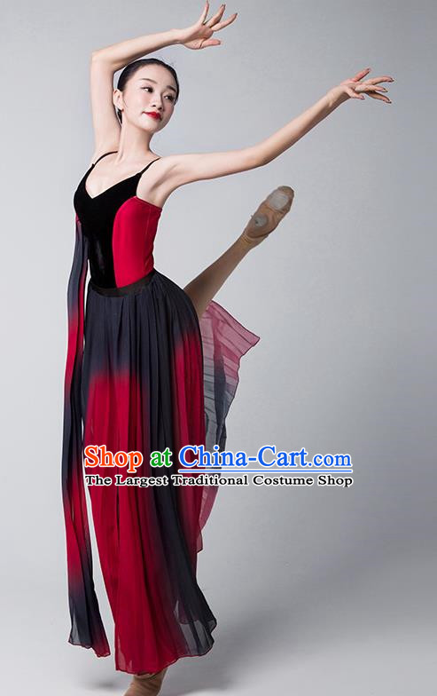 Modern Dance Clothing With The Same Style Of Rouge Dance Storm Performance Clothing Female Elegant Long Skirt Chinese Style Adult