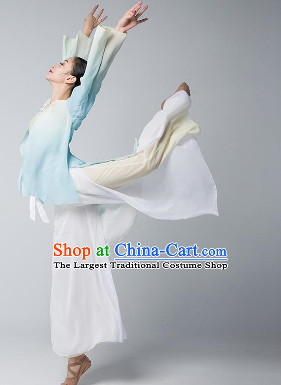 Classical Dance Clothing Women Elegant Practice Clothing National Chinese Dance Body Rhyme Gradient Art Examination Performance Clothing Dance Gauze