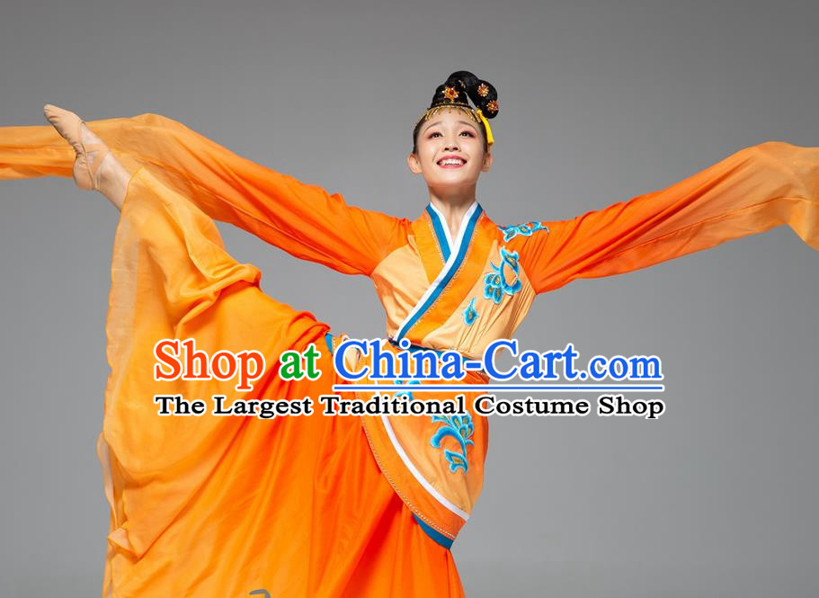 Classical Dance Water Sleeve Dance Costume Jade Dance Long Water Sleeve National Performance Costume