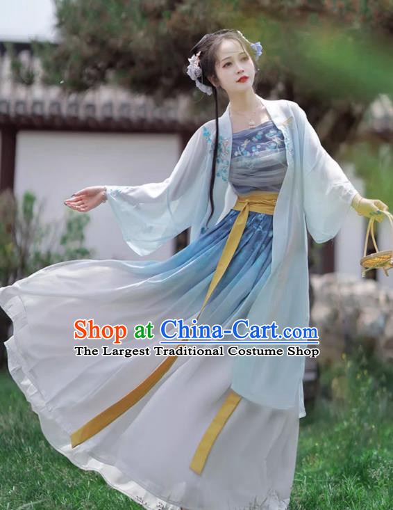 China Song Dynasty Village Girl Clothing Traditional Woman Hanfu Costumes Ancient Young Lady Blue Dresses