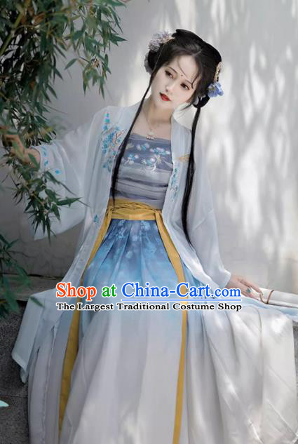China Song Dynasty Village Girl Clothing Traditional Woman Hanfu Costumes Ancient Young Lady Blue Dresses