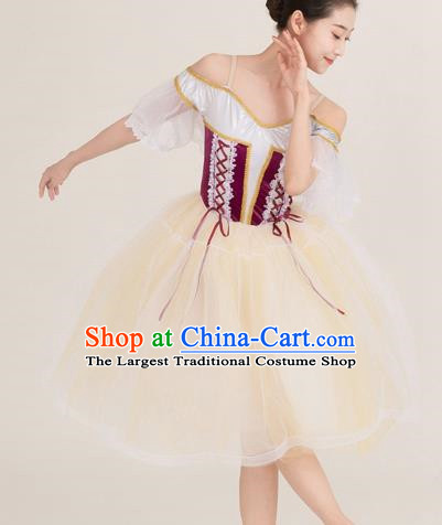 Long Skirt Lace Palace Lace Dance Skirt Performance Costume Stage Costume