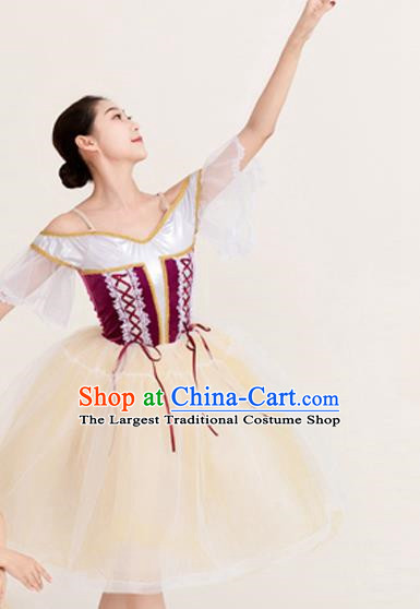 Long Skirt Lace Palace Lace Dance Skirt Performance Costume Stage Costume