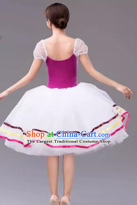 Gauze Skirt Performance Clothing Women White Long Tutu Skirt Ballet Professional Dance Skirt Performance Clothing