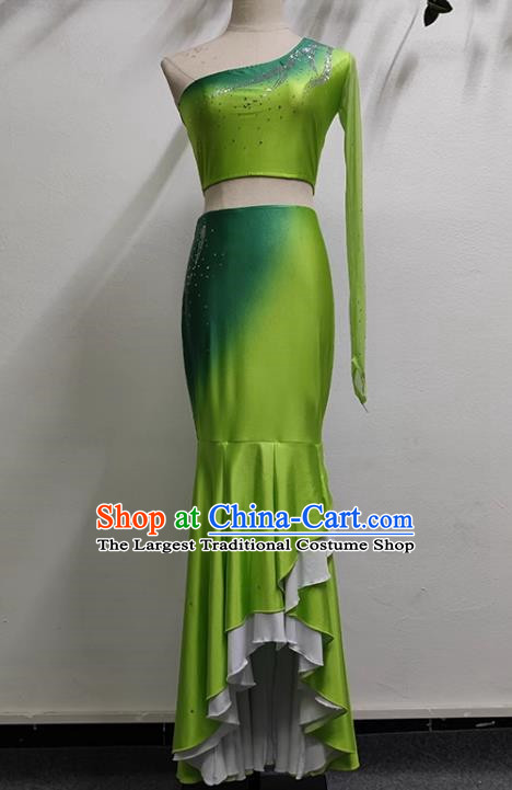Green Dai Dance Performance Costume Custom Made Self Cultivation Fishtail Swing Peacock Dance Art Test Practice Stage Performance Costume