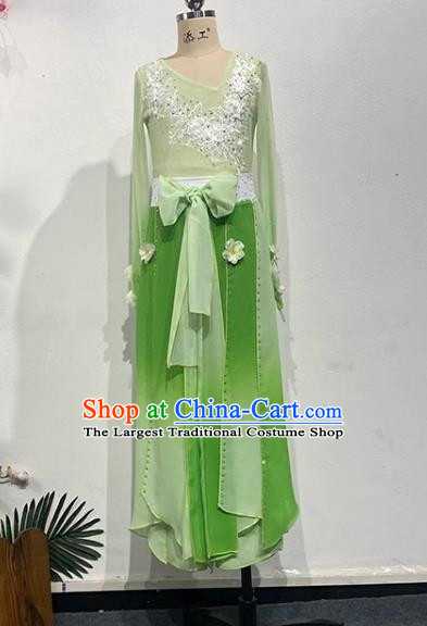 China Classical Chinese Style Art Test Dance Sentiment Embroidered Ridge Performance Costumes Performance Costumes Solo Repertoire Costumes