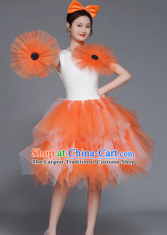 Modern Dance Costumes Fashion Dancer Costumes Opening Dance Costumes Fluffy Chorus Square Dance Dresses
