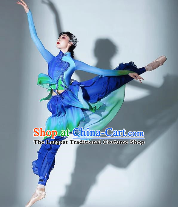 A Big River Dance Costume Fan Dance Costume Suit Performance Costume Classical Dance Practice Suit