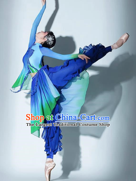 A Big River Dance Costume Fan Dance Costume Suit Performance Costume Classical Dance Practice Suit