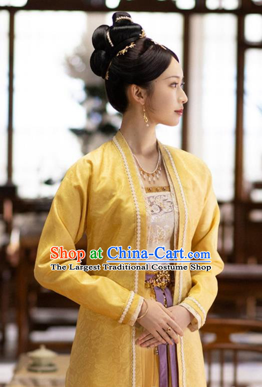 China Ancient Song Dynasty Noble Mistress Costumes Romantic Drama New Life Begins Princess Consort Yuan Ying Dresses