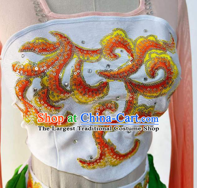 China Classical Dance Dress Professional Woman Solo Dance Competition Clothing Stage Performance Costume
