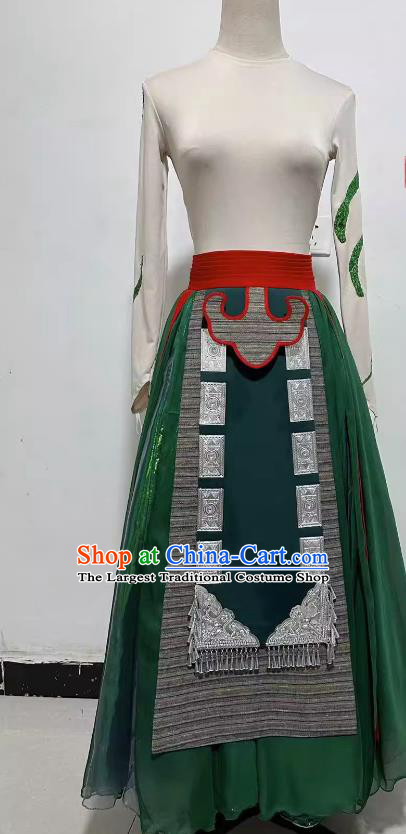 China Woman Solo Dancing Clothing Professional Yi Nationality Stage Performance Costume Classical Dance Green Dress