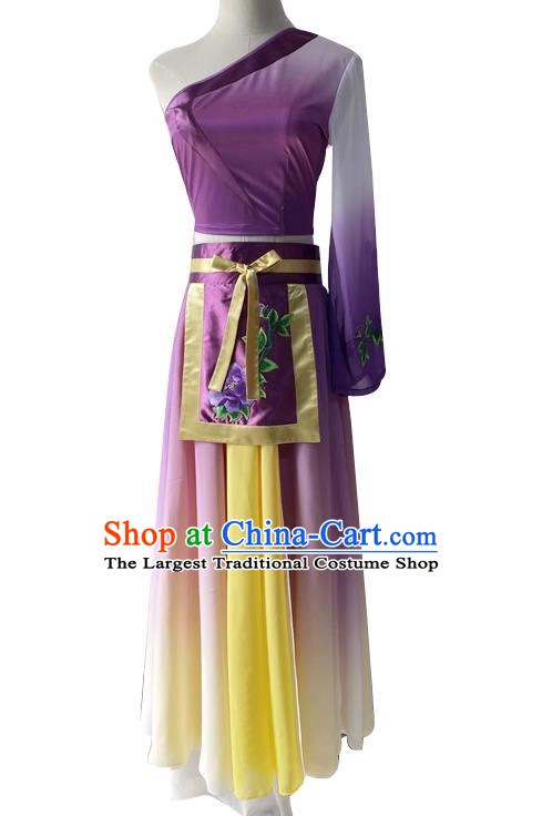 China Classical Dance Purple Dress Woman Stage Performance Costume Taoli Cup Dance Competition Clothing